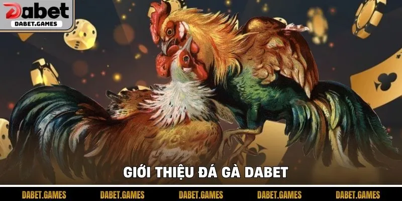 Đá Gà Dabet